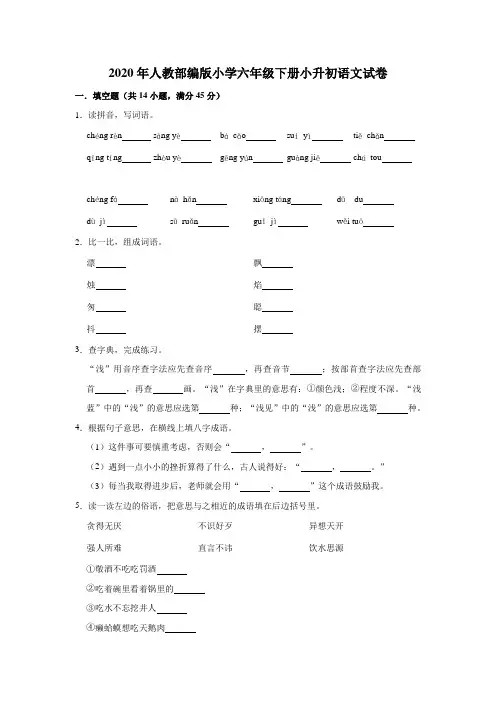 2020年人教部编版小学六年级下册小升初语文试卷5(解析版)