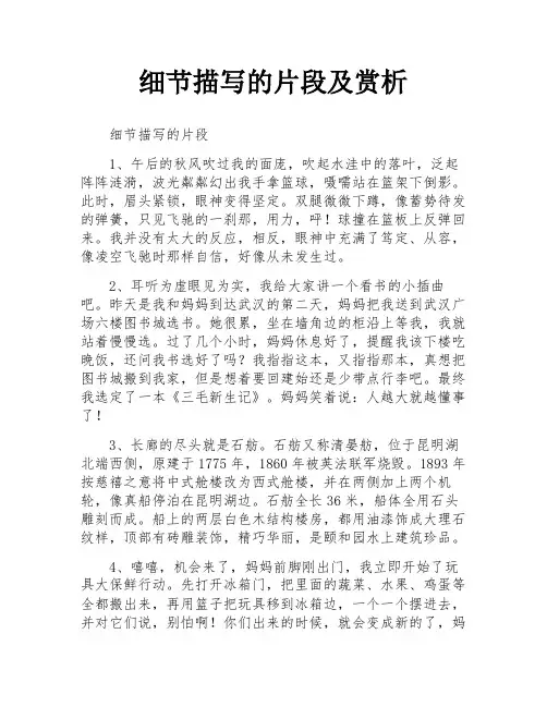 细节描写的片段及赏析