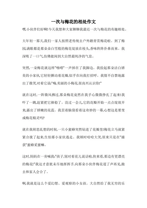 一次与梅花的相处作文