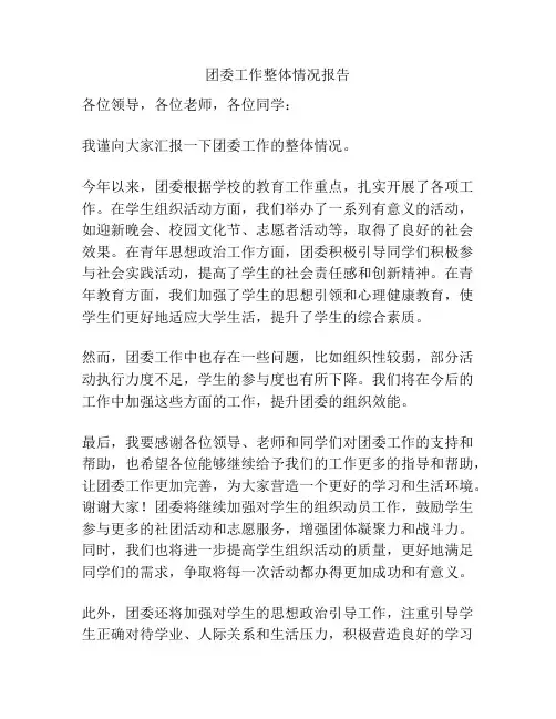 团委工作整体情况报告