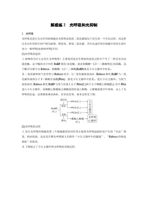 2024届高考一轮复习生物教案(苏教版)：光呼吸和光抑制