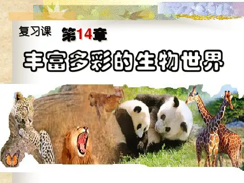 丰富多彩的生物世界复习