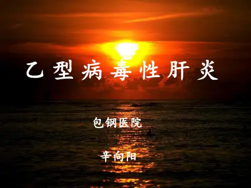 乙肝两对半的意义PPT课件