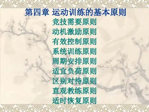 运动训练学实习