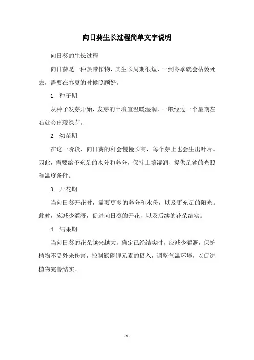 向日葵生长过程简单文字说明