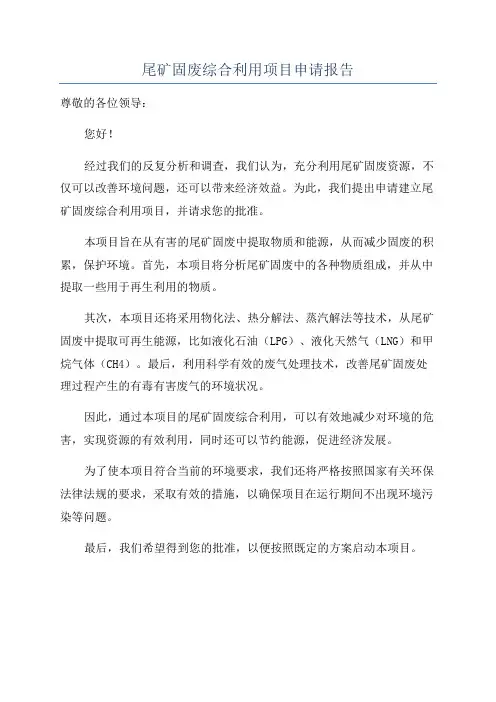 尾矿固废综合利用项目申请报告