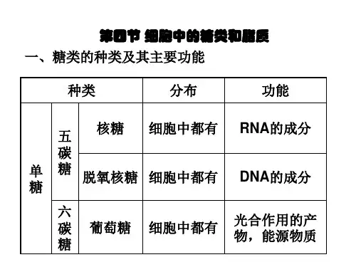 生物必修1第4节 糖类和脂质(笔记)