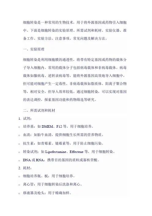 细胞转染 Protocol