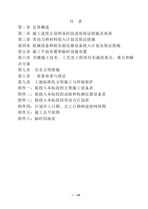防洪治理工程施工组织设计.doc
