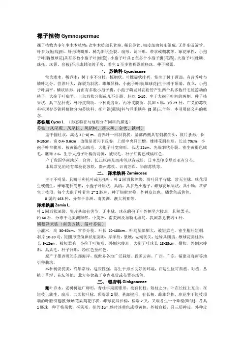园林树木学  各论  裸子植物
