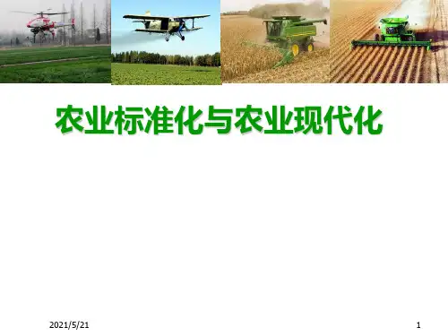 农业标准化与农业现代化PPT课件