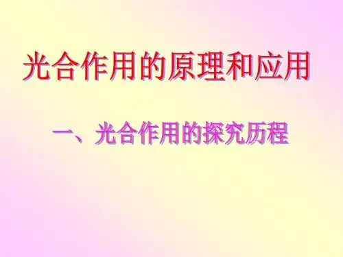 光合作用的原理和应用