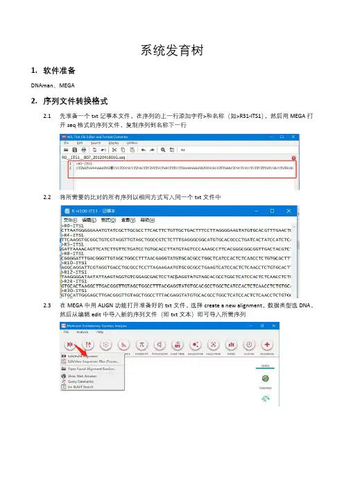 MEGA-系统发育树-快速入门