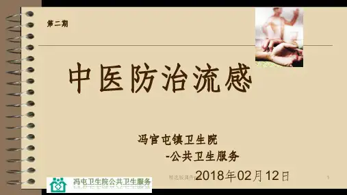 201X年 第2期 防治流感(中医)ppt课件