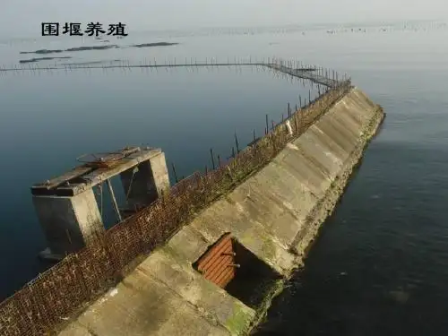 海洋学7