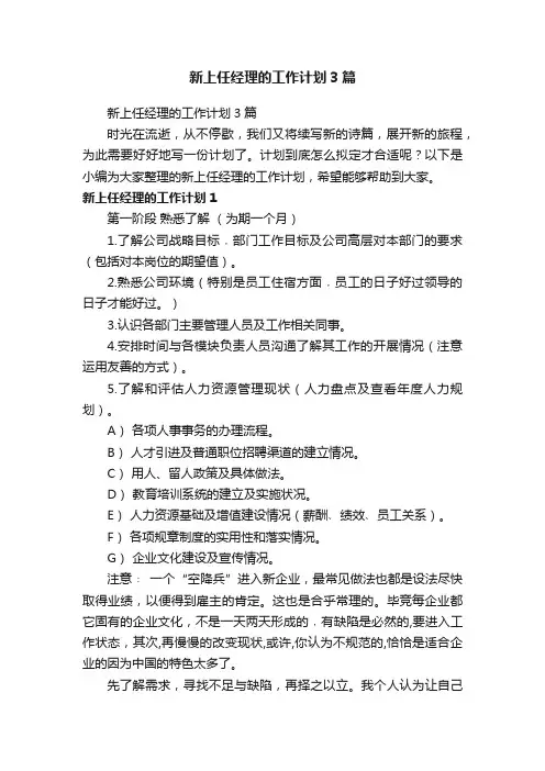 新上任经理的工作计划3篇