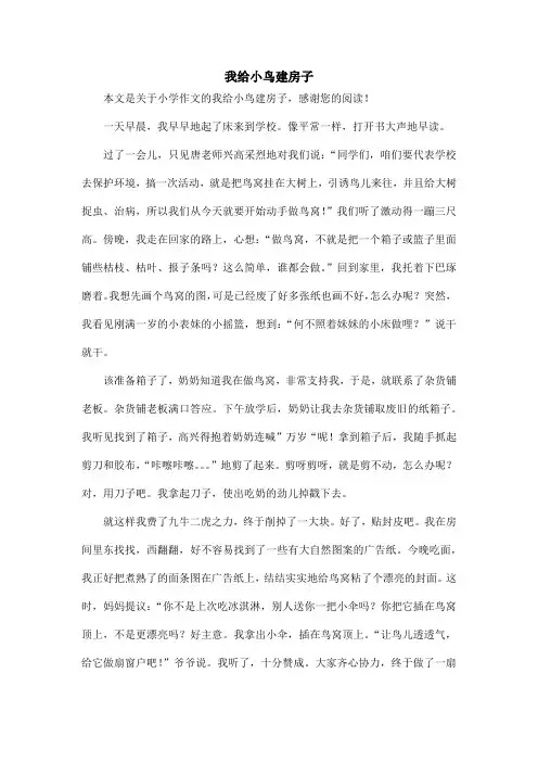 我给小鸟建房子_小学作文