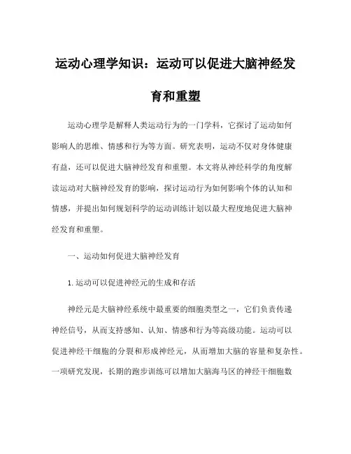 运动心理学知识：运动可以促进大脑神经发育和重塑