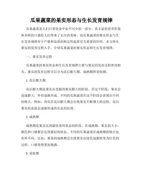 瓜果蔬菜的果实形态与生长发育规律