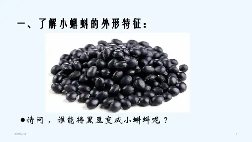 (赛课课件) 二年级美术上《小蝌蚪》