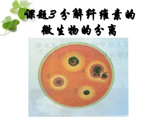 课题3__分解纤维素的微生物的分离