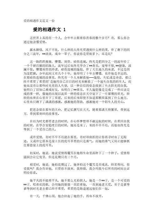 爱的相遇作文范文一份