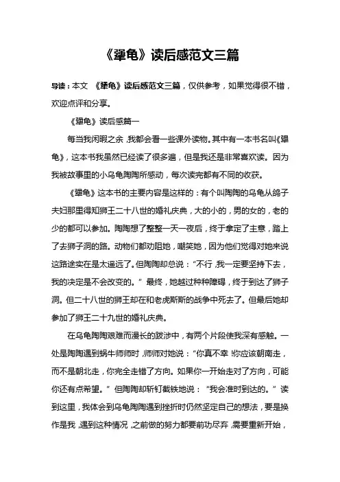 《犟龟》读后感范文三篇