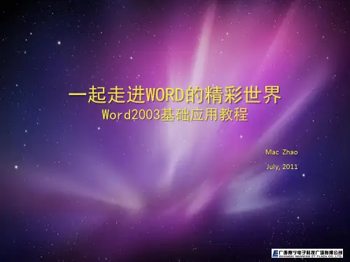 Word2003入门教程