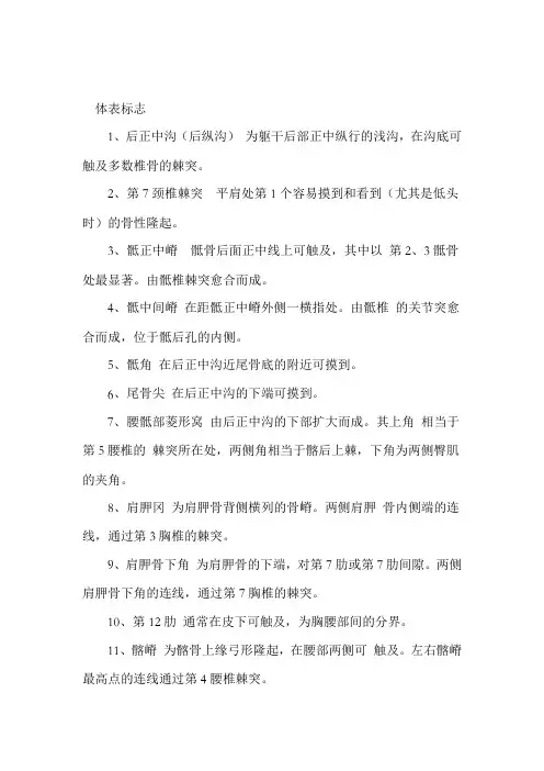 体表骨性标志