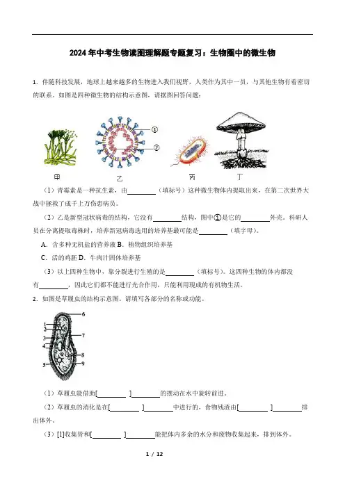 2024年中考生物读图理解题专题复习：生物圈中的微生物