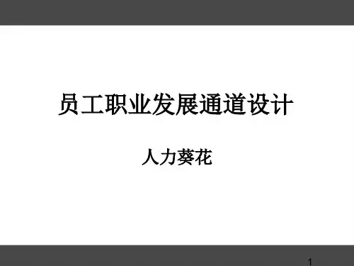 员工职业发展通道设计方案(PPT-张)PPT模板