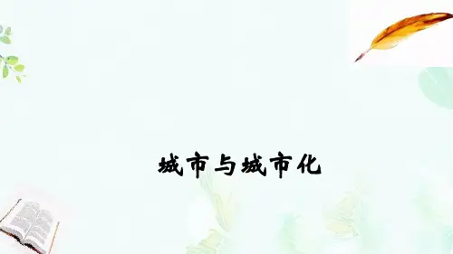 2020届高考地理总复习第九单元城市与城市化课件ppt版本