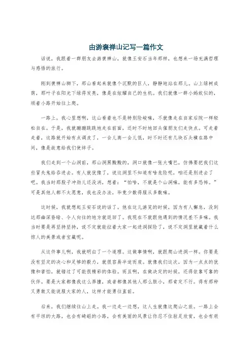 由游褒禅山记写一篇作文