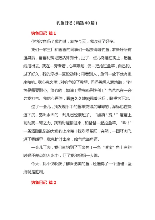 钓鱼日记(精选40篇)