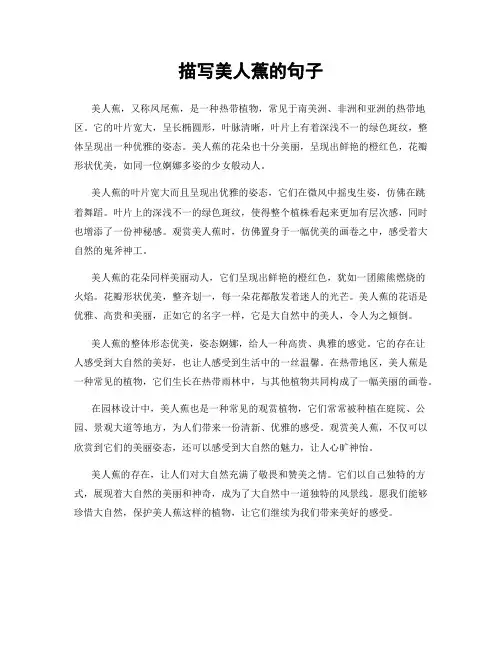 描写美人蕉的句子