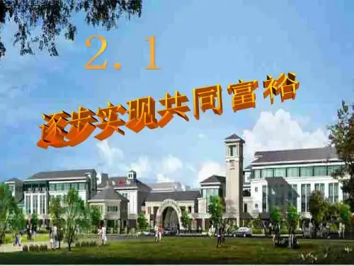 2.1逐步实现共同富裕ppt