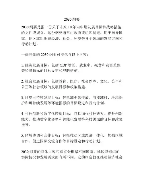 2030纲要