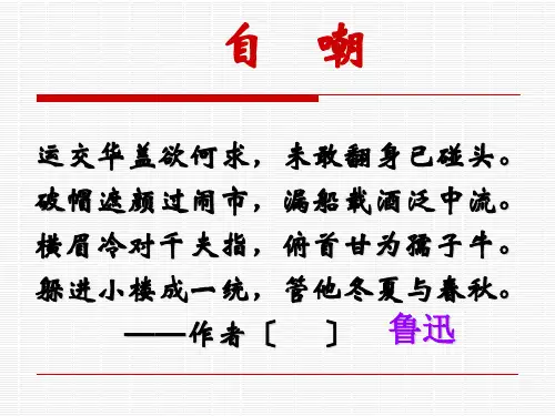 《一面》ppt课件(34页)