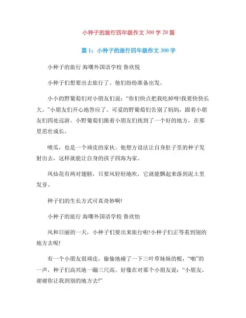 小种子的旅行四年级作文300字20篇
