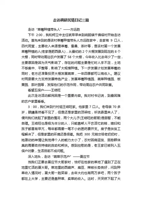 走访调研民情日记三篇