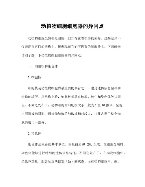 动植物细胞细胞器的异同点