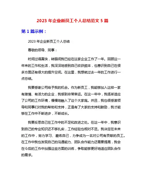 2023年企业新员工个人总结范文5篇