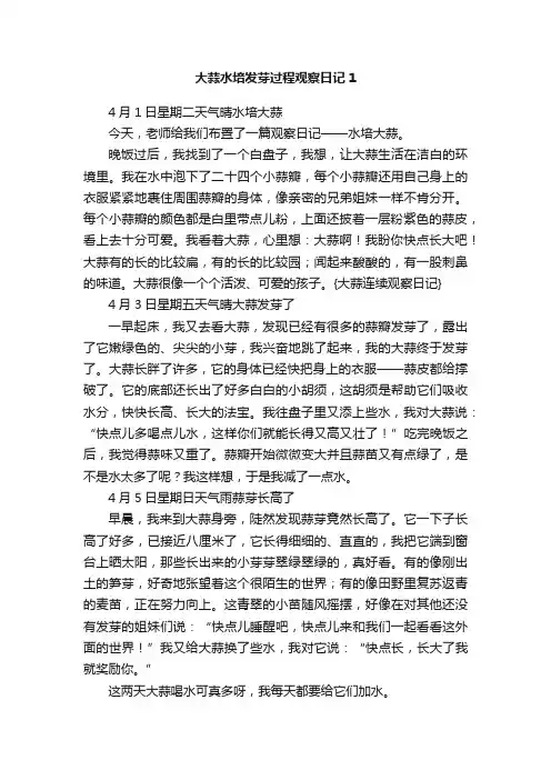 大蒜水培发芽过程观察日记