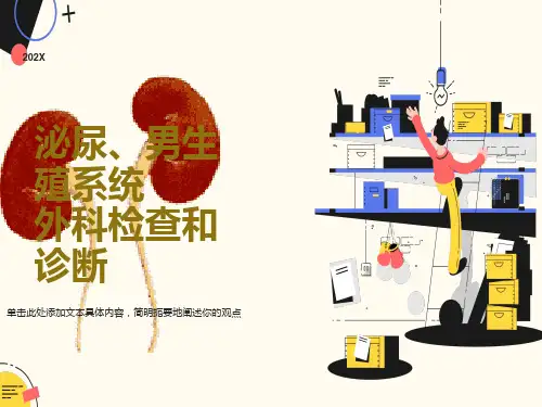 外科学2泌尿外科总论