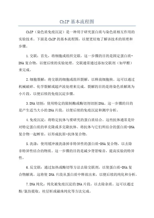 ChIP基本流程图