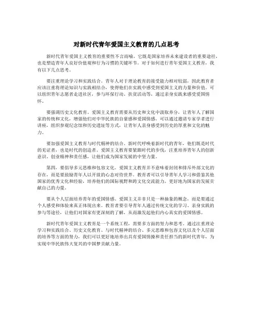 对新时代青年爱国主义教育的几点思考