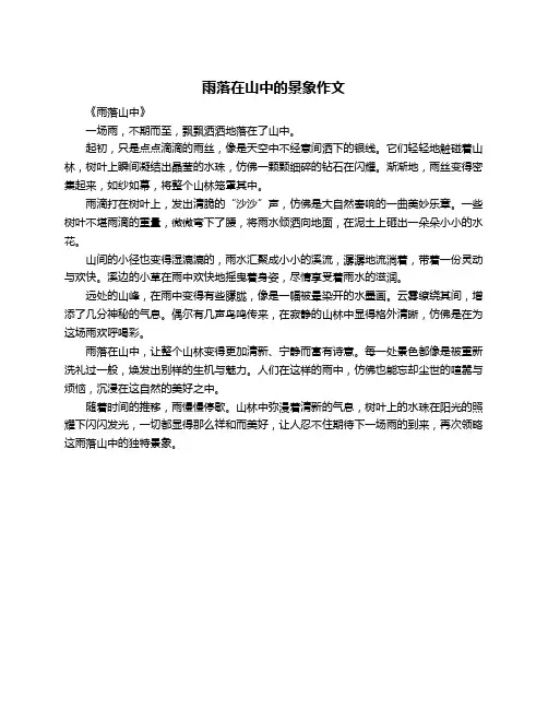 雨落在山中的景象作文