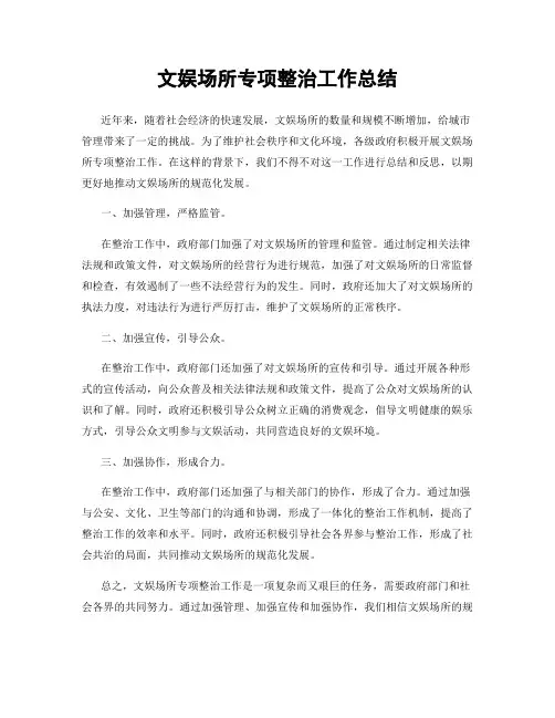 文娱场所专项整治工作总结