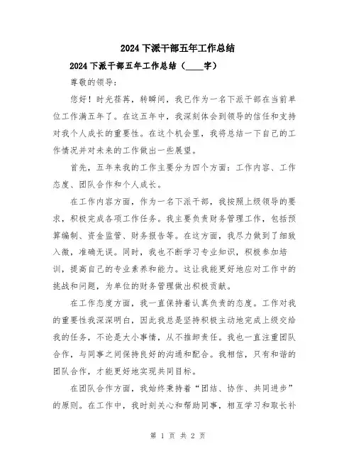 2024下派干部五年工作总结