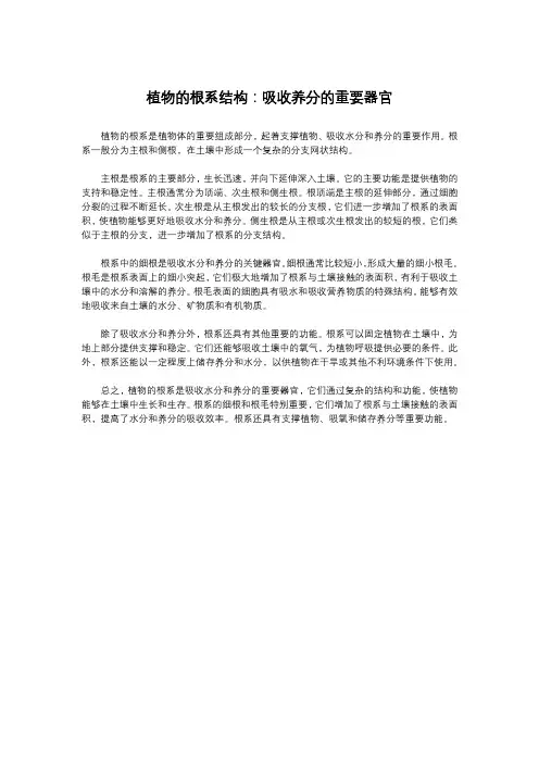 植物的根系结构：吸收养分的重要器官